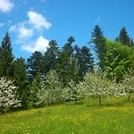Stockreutehof דירה