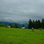 Stockreutehof *
