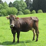 Stockreutehof *