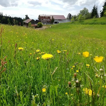 Stockreutehof Daire *