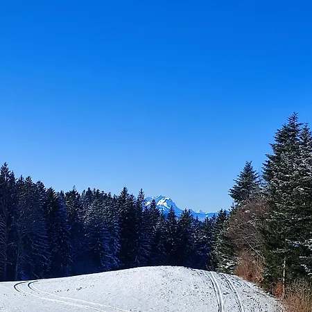 Stockreutehof Appartamento Sulzberg (Bregenz)