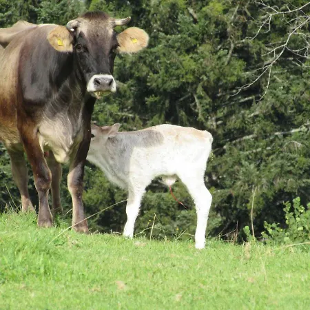 Appartamento Stockreutehof