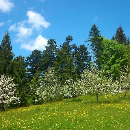 Stockreutehof Daire