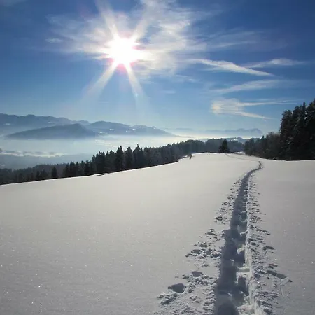 Daire Stockreutehof *