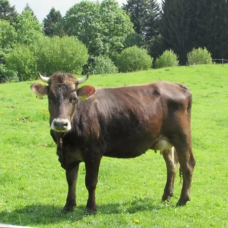 Stockreutehof *
